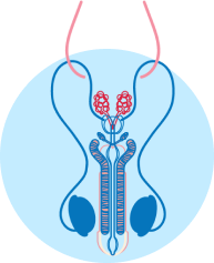 gondal vein embolization treatment