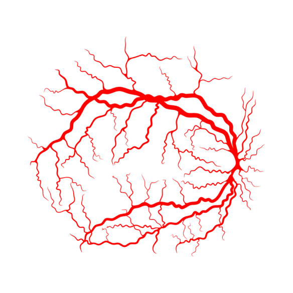 vein treatment